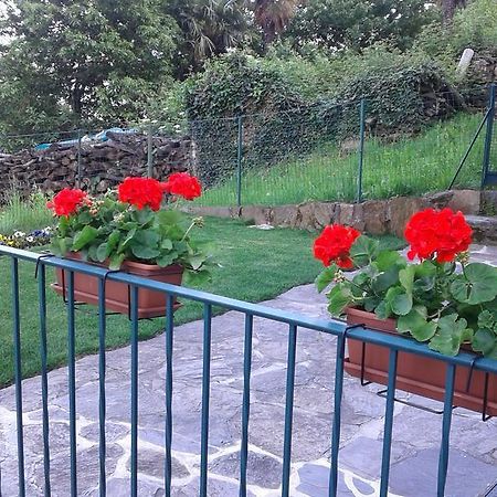 Vanni'S House Cannobio Dış mekan fotoğraf